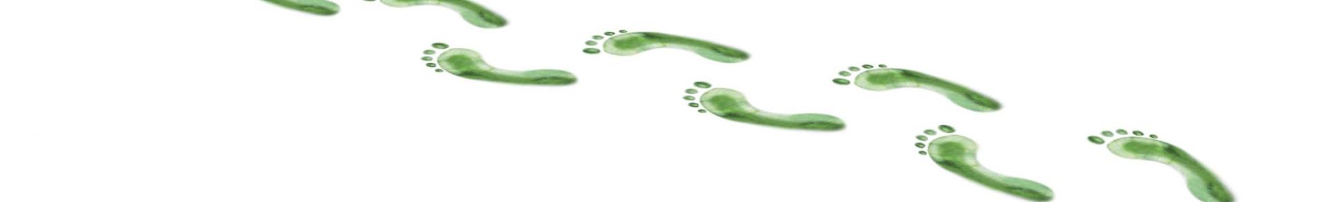 co2 footprint
